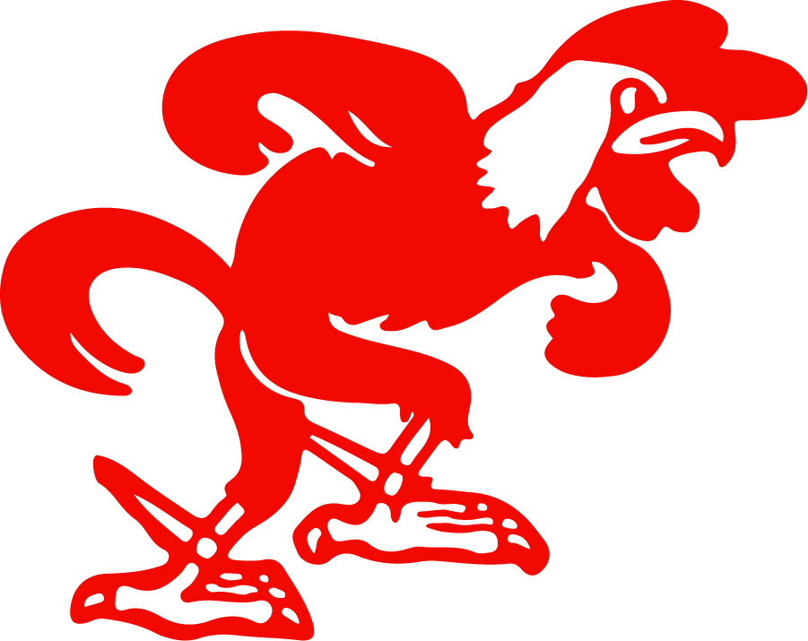 Jacksonville State Gamecocks 1956-1972 Primary Logo diy iron on heat transfer